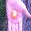 starmoon