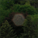 Enlarged