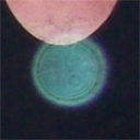 Orb Enlarged