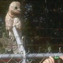 Owlman 1