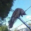 Owlman 4